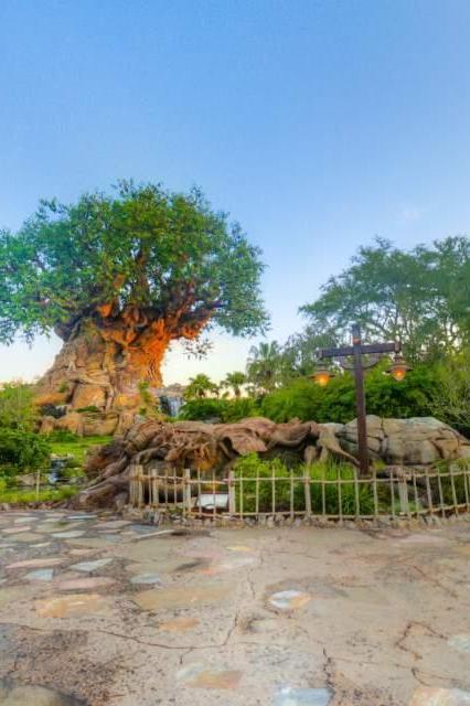Disney's Animal Kingdom Theme Park